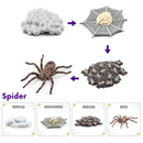 Animals and Insects Life Cycle Toy Set