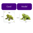 Animals and Insects Life Cycle Toy Set