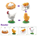 Animals and Insects Life Cycle Toy Set