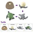 Animals and Insects Life Cycle Toy Set