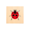 Montessori Wooden Nature Puzzle