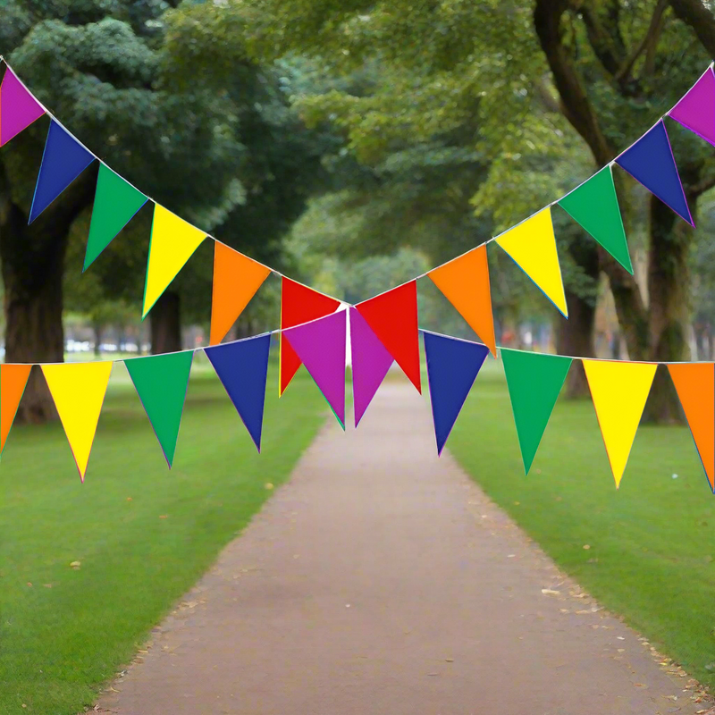 Triangle Rainbow Party Flags